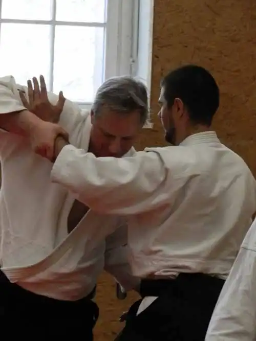 Aikido seminar in Berlin 2012.